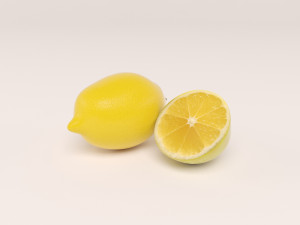 lemon with lemon slice 3D Model