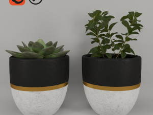 plantspots 3D Model