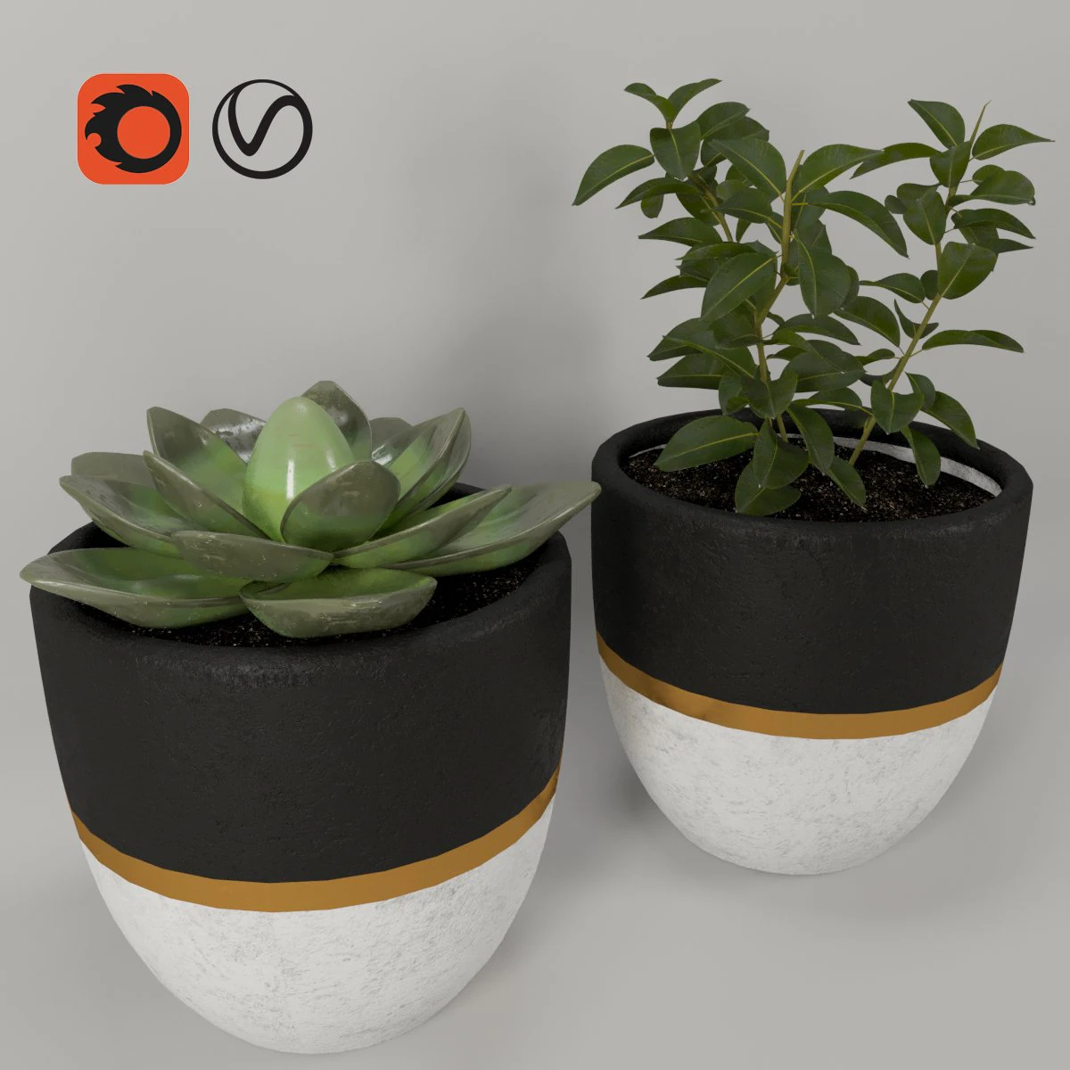plantspots 3D Model .c4d .max .obj .3ds .fbx .stl .blend 
