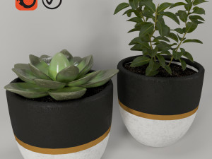 plantspots 3D 모델