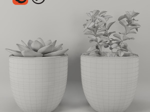 plantspots 3D Model
