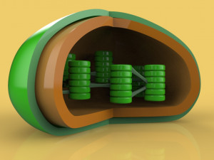 chloroplast Modelo 3D