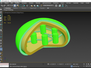 chloroplast Modelo 3D