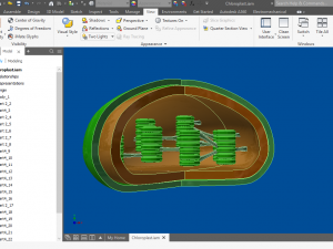 chloroplast Modelo 3D