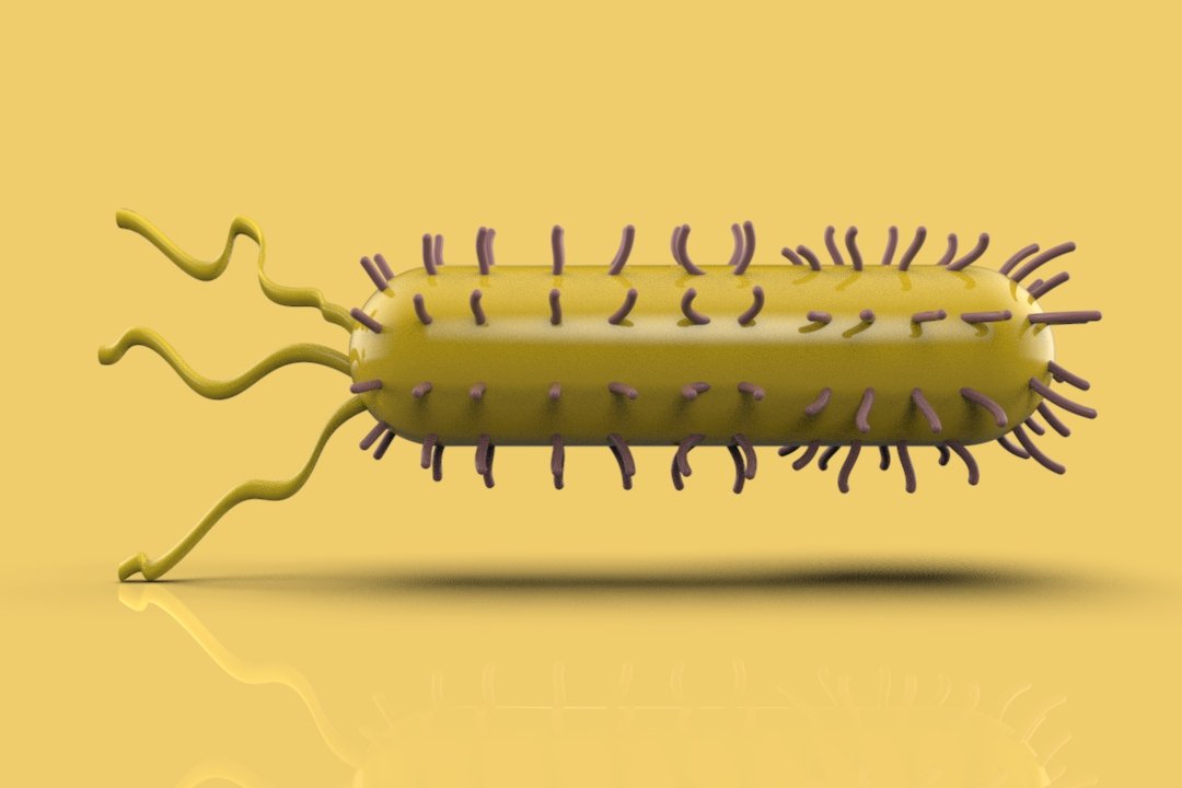 Бактерии на букву б. Бактерии 3д модель. Бактерия 3d модель. Макет бактерии. Модель бактерии 3д моделирование.