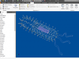 bacteria 3D Model