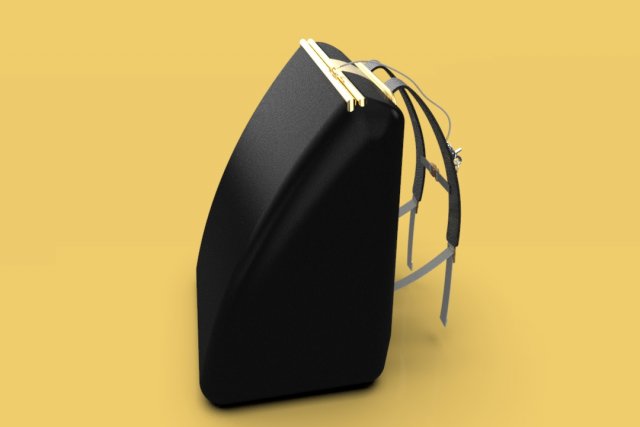 carrier bag container backpack of elegant sack 3D 模型 .c4d .max .obj .3ds .fbx .stl .blend 