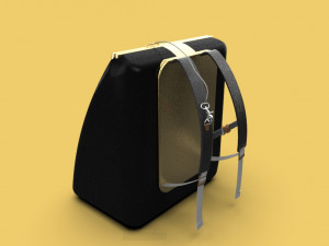 carrier bag container backpack of elegant sack 3D 模型