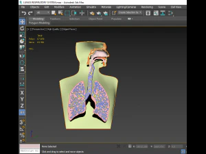 3D LUNGS RESPIRATORY SYSTEM 3D Model
