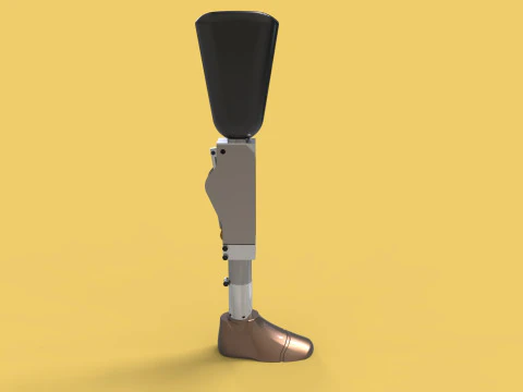 ARTIFICIAL PNEUMATIC PROSTHETIC LEG 3D Model