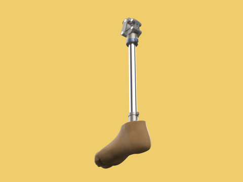 MEDICAL ARTIFICIAL PROSTHETIC LEG MECHANICAL FOUR BAR JOINT 3D Model