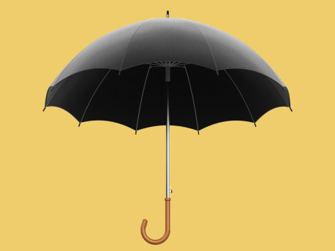 AUTO OPEN BLACK UMBRELLA FOLDABLE CLASSIC WOODEN J STICK HANDLE 3D Model