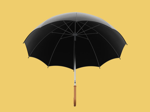 AUTO OPEN BLACK UMBRELLA FOLDABLE CLASSIC WOODEN J STICK HANDLE 3D Model