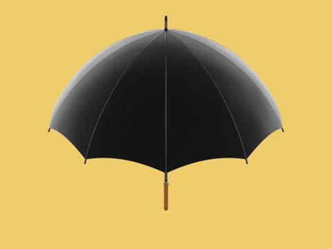 AUTO OPEN BLACK UMBRELLA FOLDABLE CLASSIC WOODEN J STICK HANDLE 3D Model