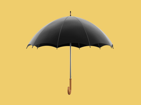 AUTO OPEN BLACK UMBRELLA FOLDABLE CLASSIC WOODEN J STICK HANDLE 3D Model