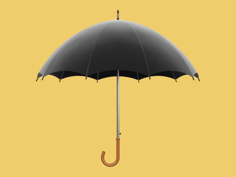 AUTO OPEN BLACK UMBRELLA FOLDABLE CLASSIC WOODEN J STICK HANDLE 3D Model