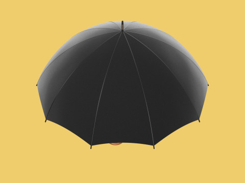 AUTO OPEN BLACK UMBRELLA FOLDABLE CLASSIC WOODEN J STICK HANDLE 3D Model