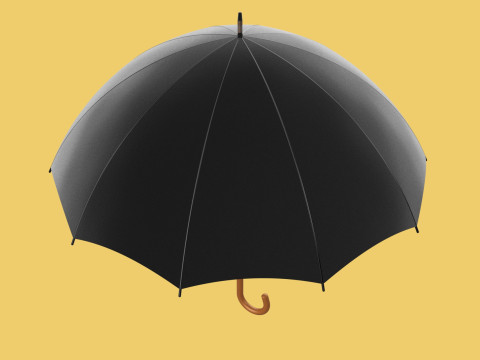 AUTO OPEN BLACK UMBRELLA FOLDABLE CLASSIC WOODEN J STICK HANDLE 3D Model