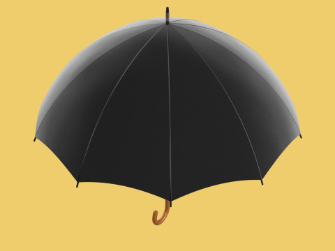 AUTO OPEN BLACK UMBRELLA FOLDABLE CLASSIC WOODEN J STICK HANDLE 3D Model