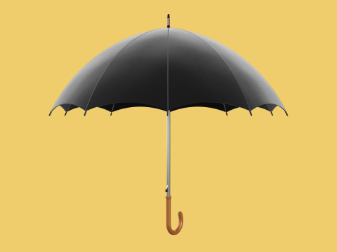 AUTO OPEN BLACK UMBRELLA FOLDABLE CLASSIC WOODEN J STICK HANDLE 3D Model