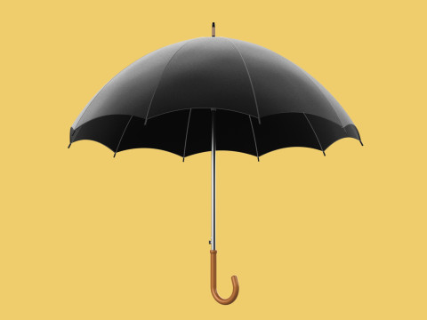 AUTO OPEN BLACK UMBRELLA FOLDABLE CLASSIC WOODEN J STICK HANDLE 3D Model