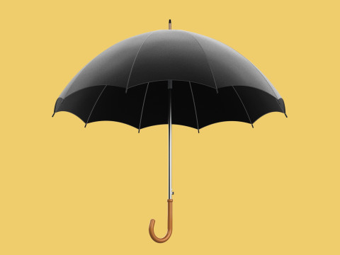 AUTO OPEN BLACK UMBRELLA FOLDABLE CLASSIC WOODEN J STICK HANDLE 3D Model