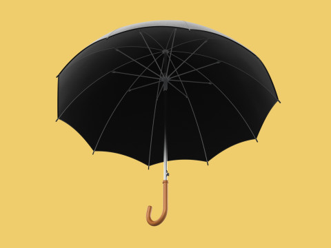 AUTO OPEN BLACK UMBRELLA FOLDABLE CLASSIC WOODEN J STICK HANDLE 3D Model