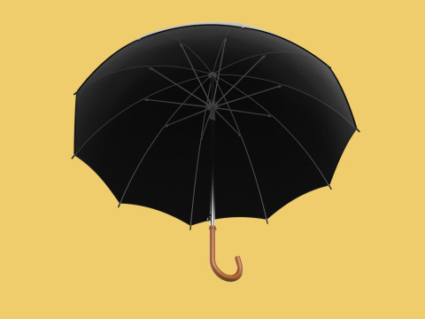 AUTO OPEN BLACK UMBRELLA FOLDABLE CLASSIC WOODEN J STICK HANDLE 3D Model