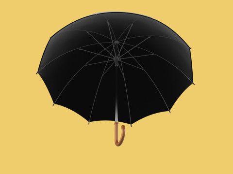 AUTO OPEN BLACK UMBRELLA FOLDABLE CLASSIC WOODEN J STICK HANDLE 3D Model