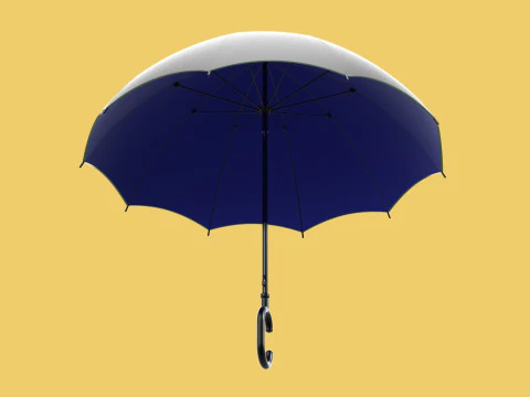C SHAPE HANDLE STICK INVERTED REVERSE UMBRELLA AUTO FOLDABLE 3D Model