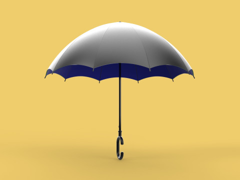 C SHAPE HANDLE STICK INVERTED REVERSE UMBRELLA AUTO FOLDABLE 3D Model