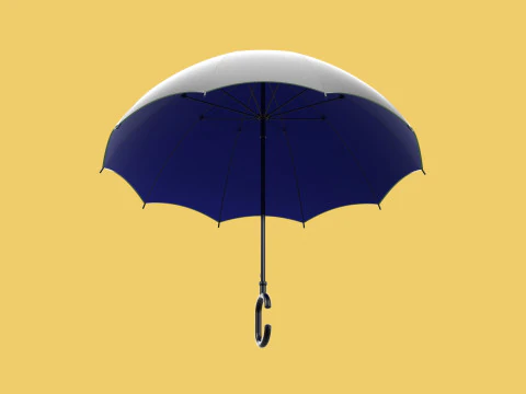 C SHAPE HANDLE STICK INVERTED REVERSE UMBRELLA AUTO FOLDABLE 3D Model