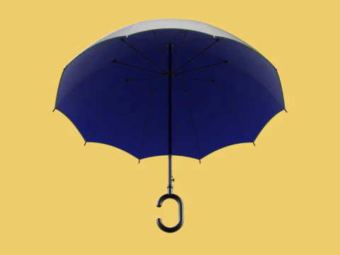 C SHAPE HANDLE STICK INVERTED REVERSE UMBRELLA AUTO FOLDABLE 3D Model