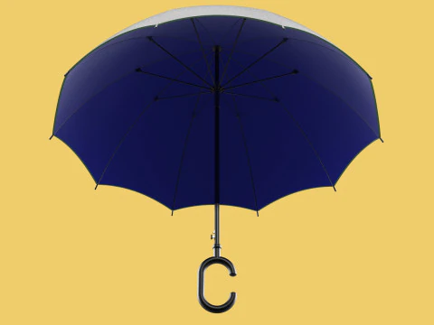 C SHAPE HANDLE STICK INVERTED REVERSE UMBRELLA AUTO FOLDABLE 3D Model