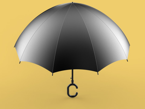 C SHAPE HANDLE STICK INVERTED REVERSE UMBRELLA AUTO FOLDABLE 3D Model