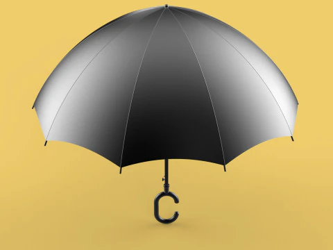 C SHAPE HANDLE STICK INVERTED REVERSE UMBRELLA AUTO FOLDABLE 3D Model