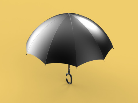 C SHAPE HANDLE STICK INVERTED REVERSE UMBRELLA AUTO FOLDABLE 3D Model