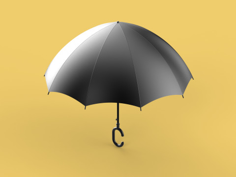 C SHAPE HANDLE STICK INVERTED REVERSE UMBRELLA AUTO FOLDABLE 3D Model