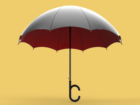 REVERSE C SHAPE HANDLE STICK INVERTED UMBRELLA AUTO OPEN FOLDING 3D Model