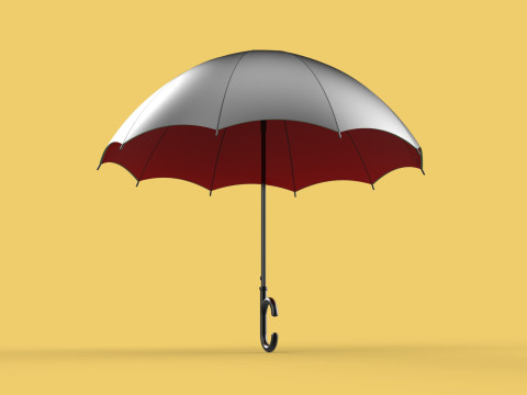 REVERSE C SHAPE HANDLE STICK INVERTED UMBRELLA AUTO OPEN FOLDING Modèle 3D