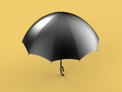 REVERSE C SHAPE HANDLE STICK INVERTED UMBRELLA AUTO OPEN FOLDING Modèle 3D