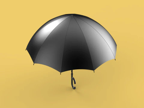REVERSE C SHAPE HANDLE STICK INVERTED UMBRELLA AUTO OPEN FOLDING 3D Model