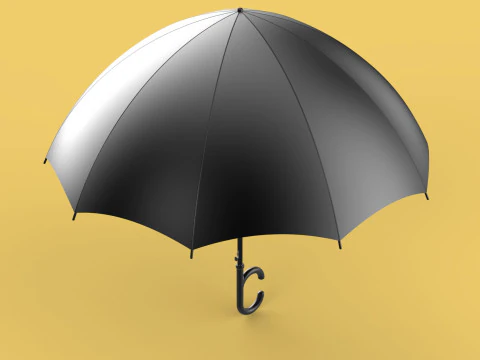 REVERSE C SHAPE HANDLE STICK INVERTED UMBRELLA AUTO OPEN FOLDING 3D Model