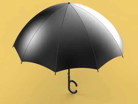 REVERSE C SHAPE HANDLE STICK INVERTED UMBRELLA AUTO OPEN FOLDING 3D Model