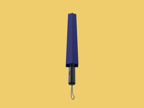 FOLDED OPEN CLOSED UMBRELLA AUTO FOLDABLE FOLDING COMPACT CLOSE 3D 模型