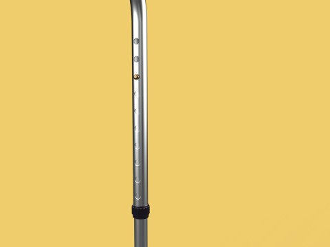 STANDARD WALKING CANE AIDS ELDERLY SENIOR STICK TREKKING POLE Modèle 3D