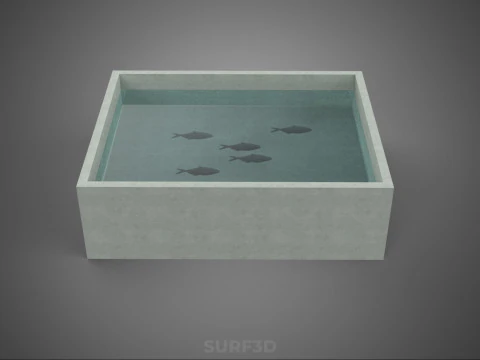 FISH SWIMMING CONCRETE WATER TANK CONTAINER POND POOL AQUA BASIN 3D Model