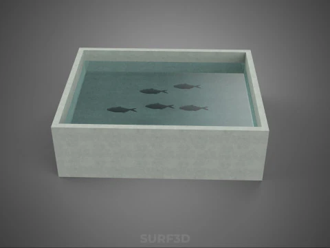 FISH SWIMMING CONCRETE WATER TANK CONTAINER POND POOL AQUA BASIN 3D Model