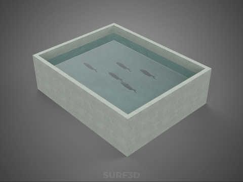 FISH SWIMMING CONCRETE WATER TANK CONTAINER POND POOL AQUA BASIN 3D Model
