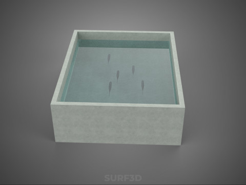 FISH SWIMMING CONCRETE WATER TANK CONTAINER POND POOL AQUA BASIN 3D Model